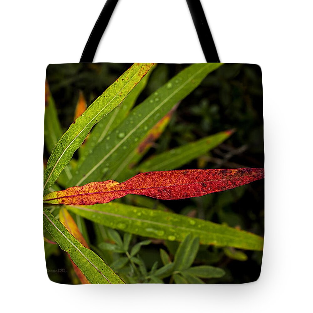 Wildflower Tote Bag featuring the photograph Many Faces of Fireweed 2 by Fred Denner