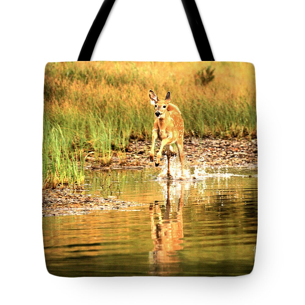 Deer Tote Bag featuring the photograph Junior Dashing Through The Water by Adam Jewell