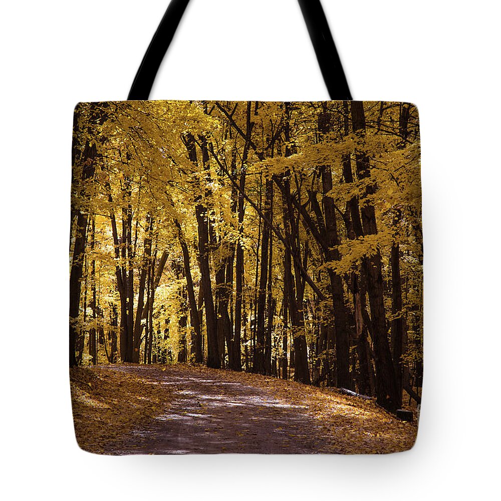 Fall Tote Bag featuring the photograph Maple Glory by CJ Benson
