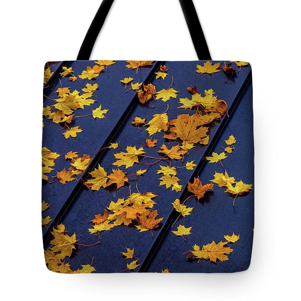 Landscape Tote Bag featuring the photograph Maple Leaves on a Metal Roof by Joe Shrader