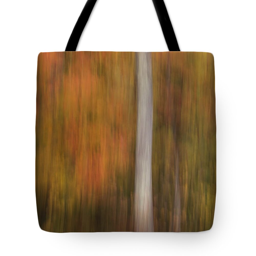 Abstract Tote Bag featuring the photograph Maple by Lili Feinstein