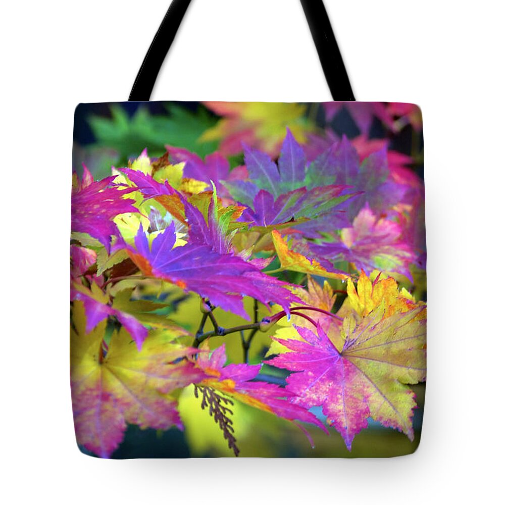 Nature Tote Bag featuring the photograph Maple Vibrance by Emerita Wheeling
