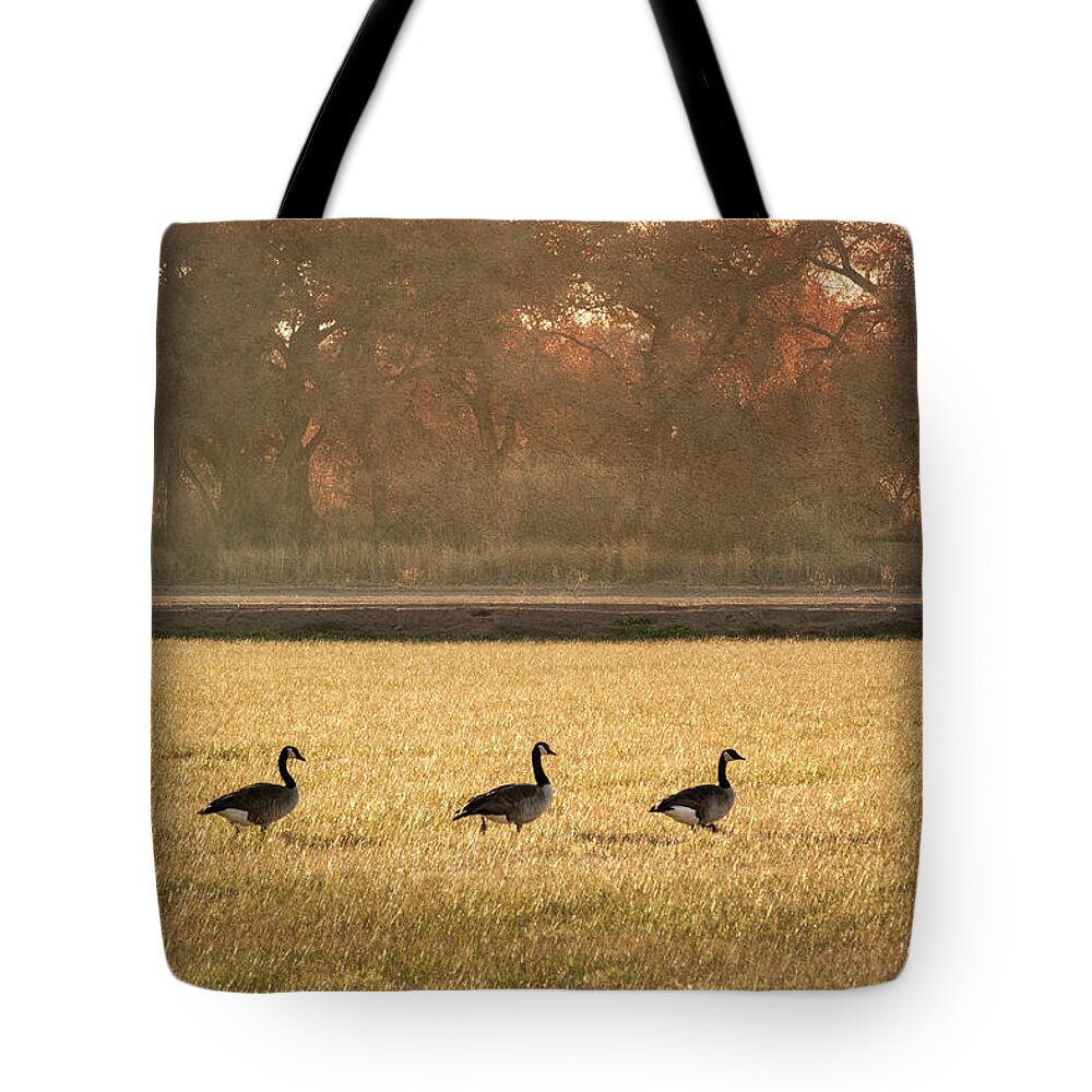 Scenics Tote Bag featuring the photograph March of the Geese by Mary Lee Dereske