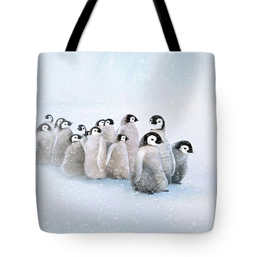 Baby Penguins Tote Bag featuring the digital art March of the Penguins by Thanh Thuy Nguyen