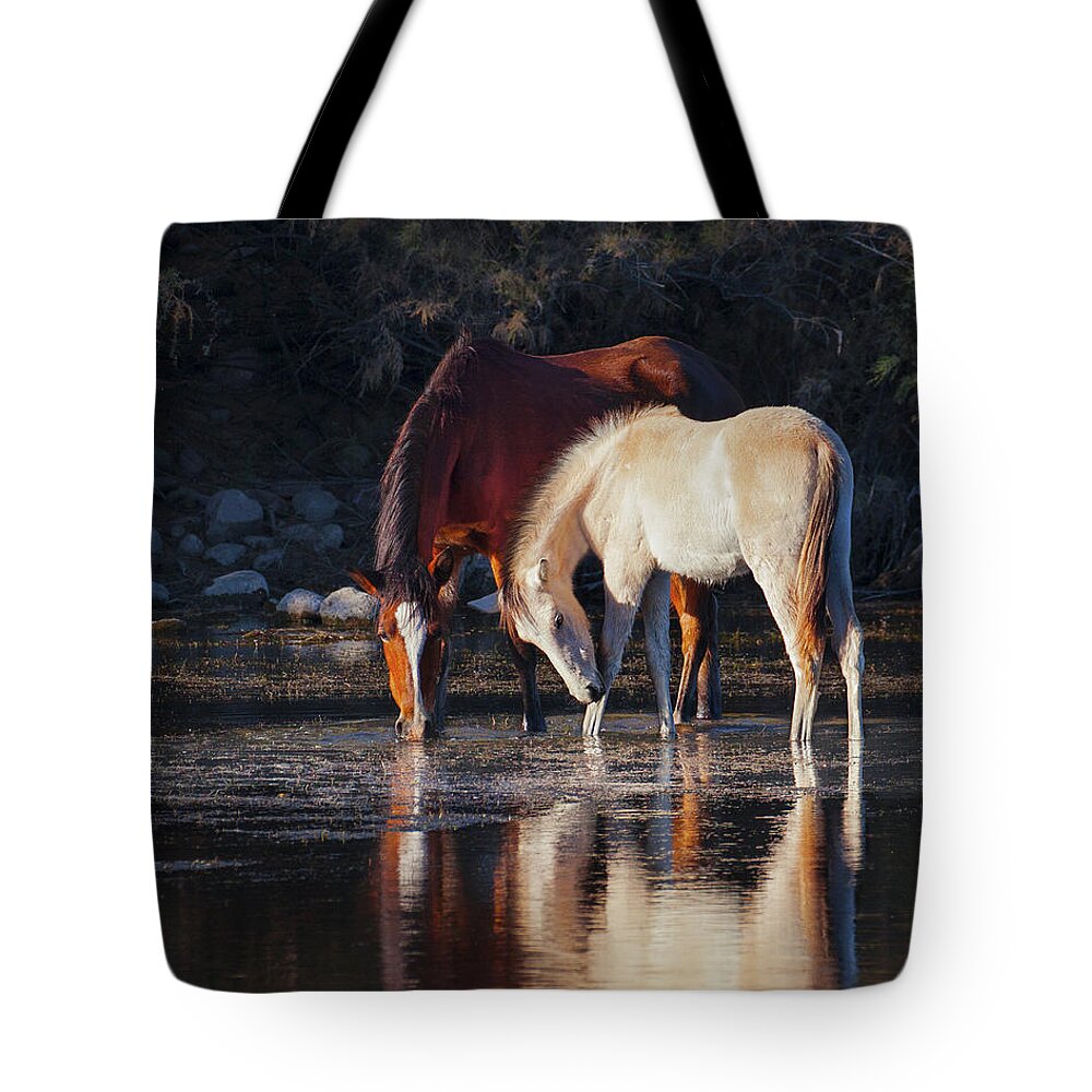 Salt River Wild Horse Horses Tote Bag featuring the photograph Mare And Colt Reflection by Jerry Cowart