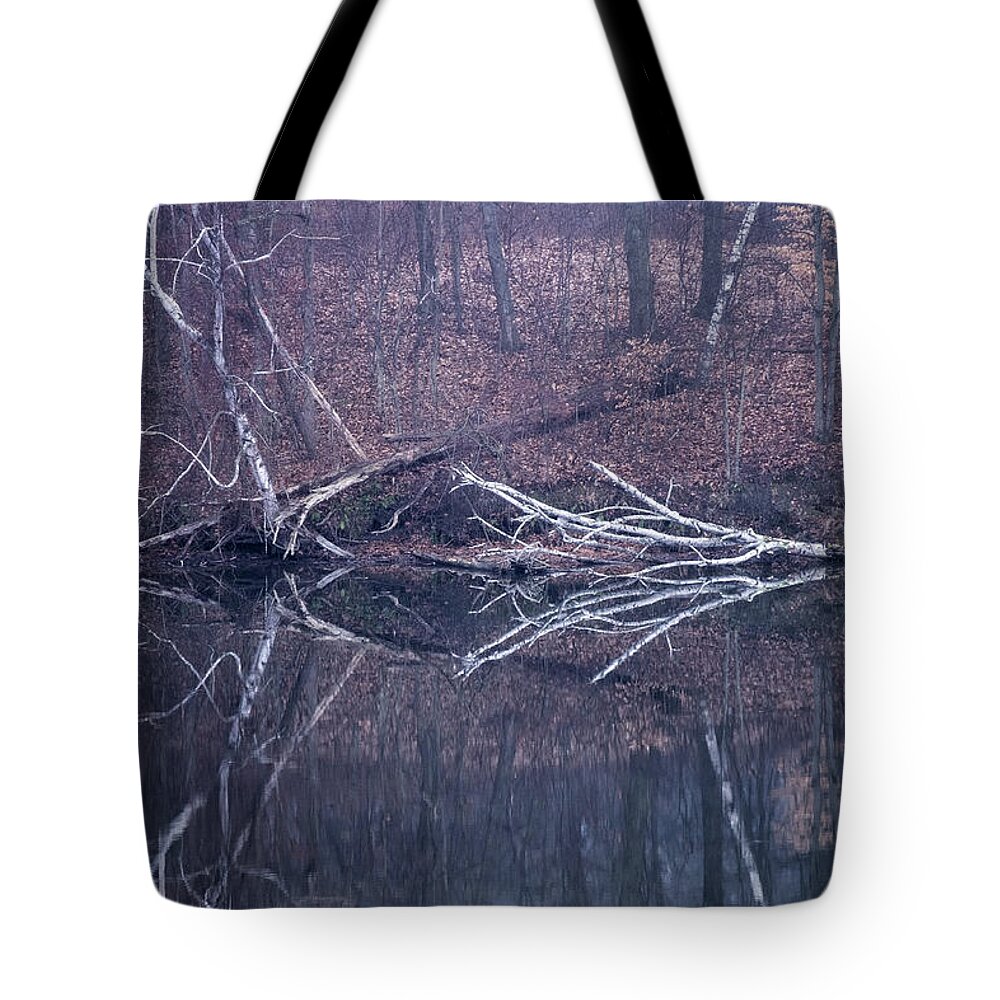 The Brattleboro Retreat Meadows Tote Bag featuring the photograph Marina Birches by Tom Singleton
