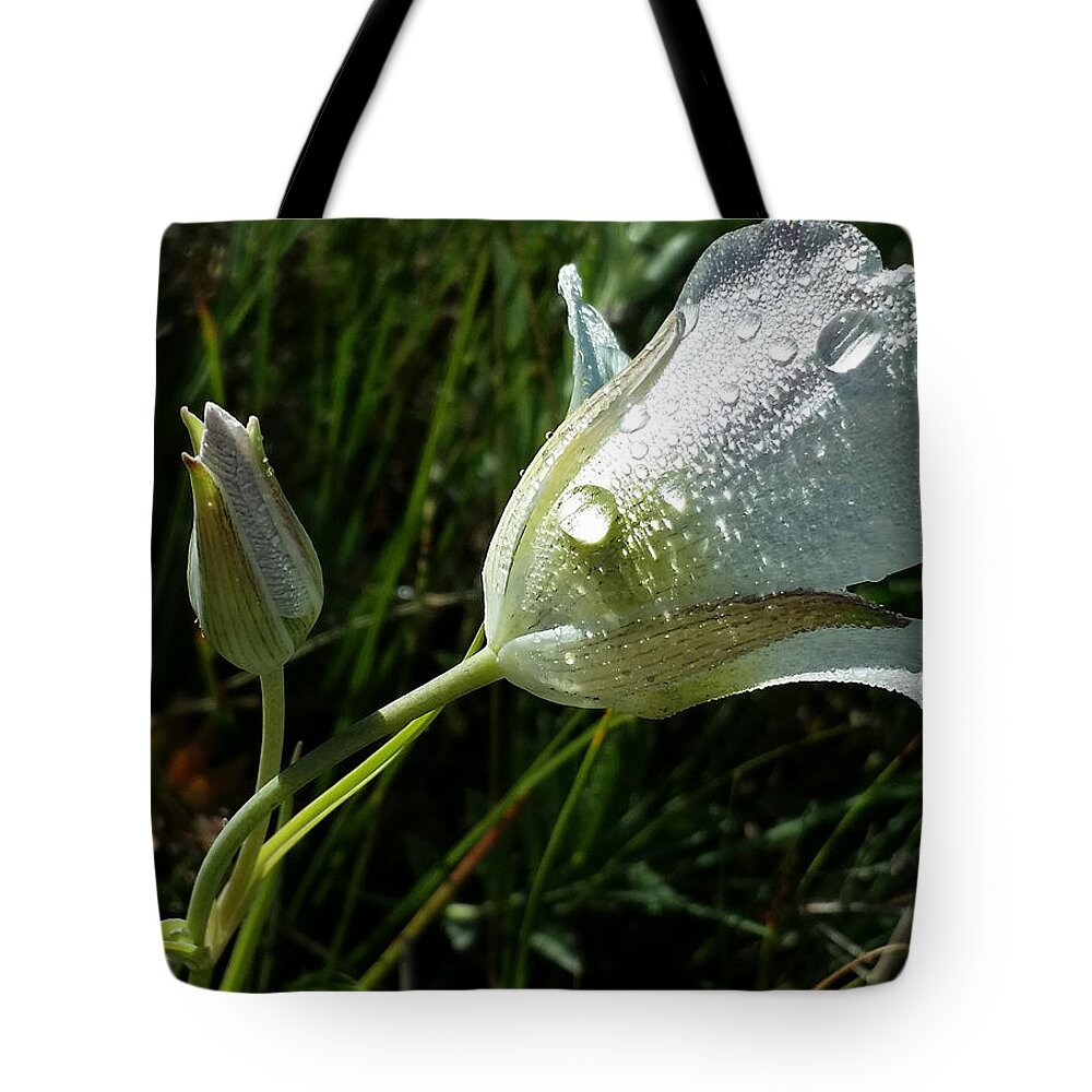 Dew;drops Tote Bag featuring the photograph Mariposa Dew Rocky Mountain Meadow by Laura Davis