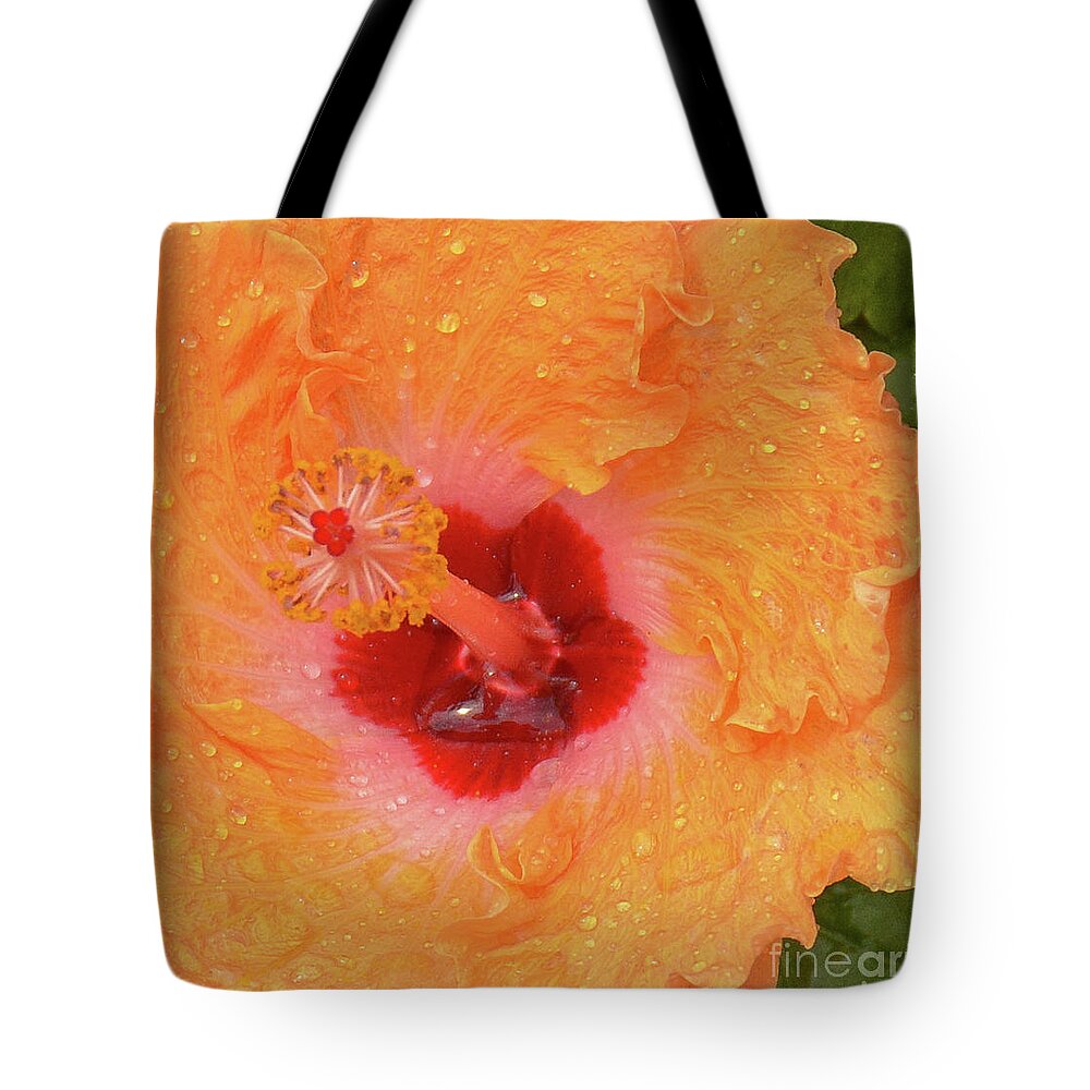 Flower Tote Bag featuring the photograph Marooned by Barry Bohn