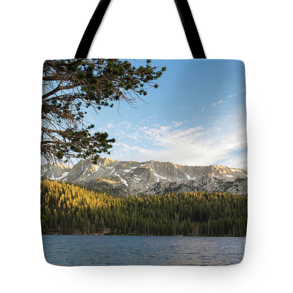 Trees Tote Bag featuring the photograph Marry Lake by Brandon Bonafede