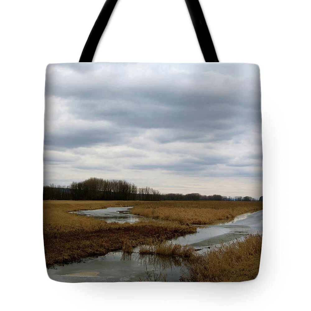 Marsh Tote Bag featuring the photograph Marsh Day by Azthet Photography