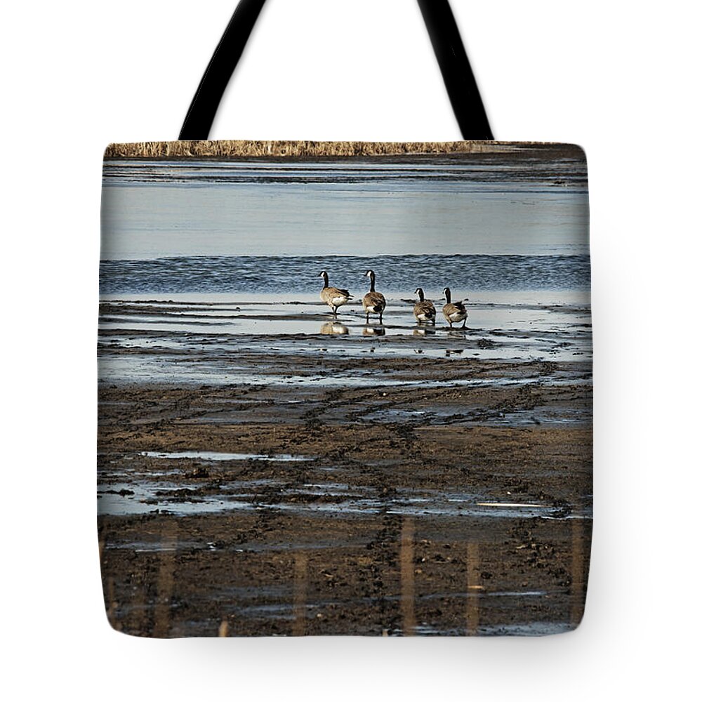 Horicon Marsh Tote Bag featuring the photograph Marsh Tracks by Jayne Gohr