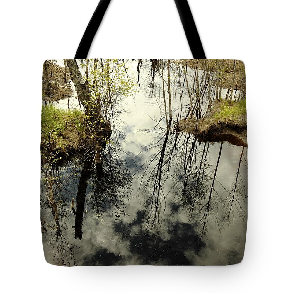 Beautiful Tote Bag featuring the photograph Marshland with reflected sky by Ulrich Kunst And Bettina Scheidulin