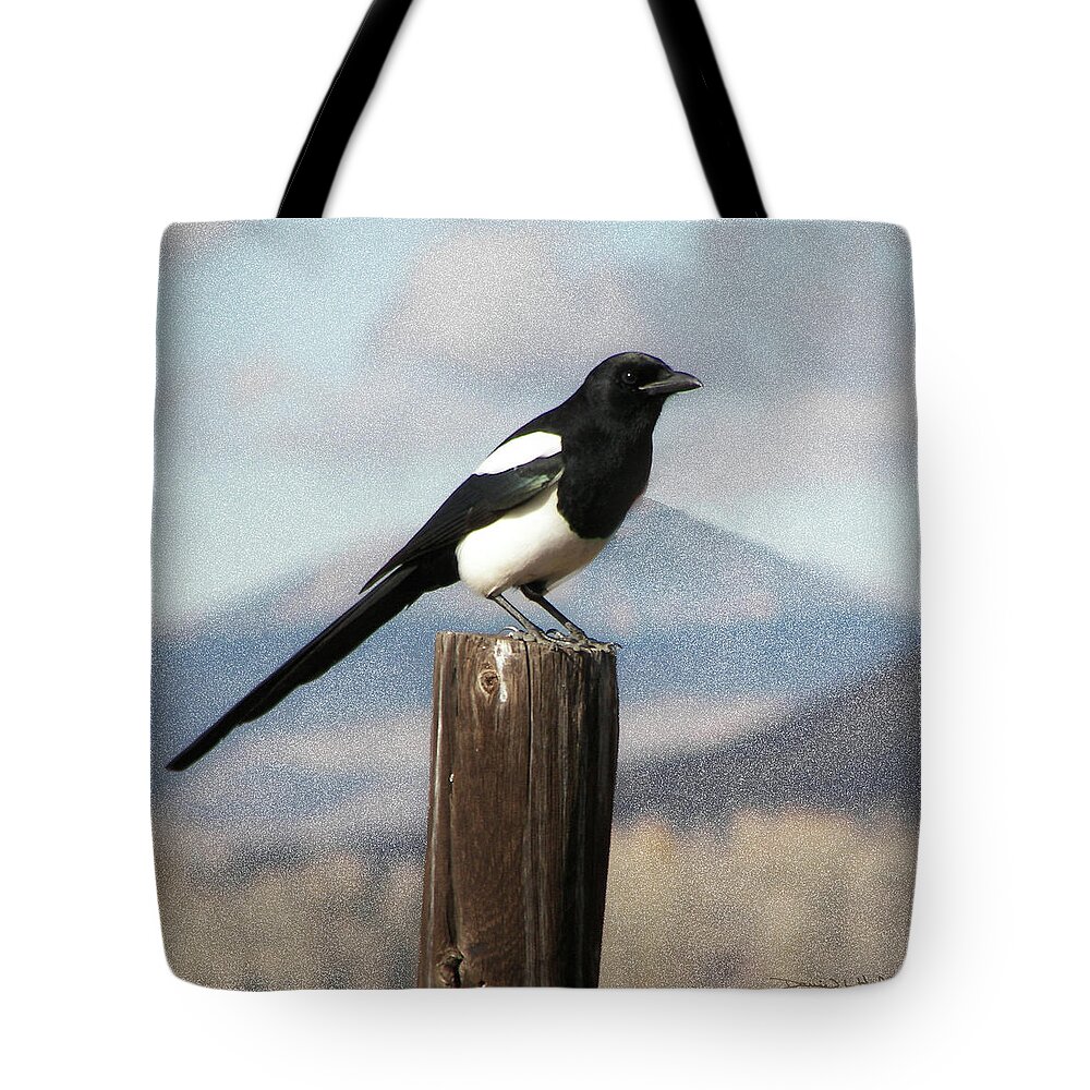  Black-billed Magpie (corvidae Tote Bag featuring the photograph Marty The Magpie by Daniel Hebard