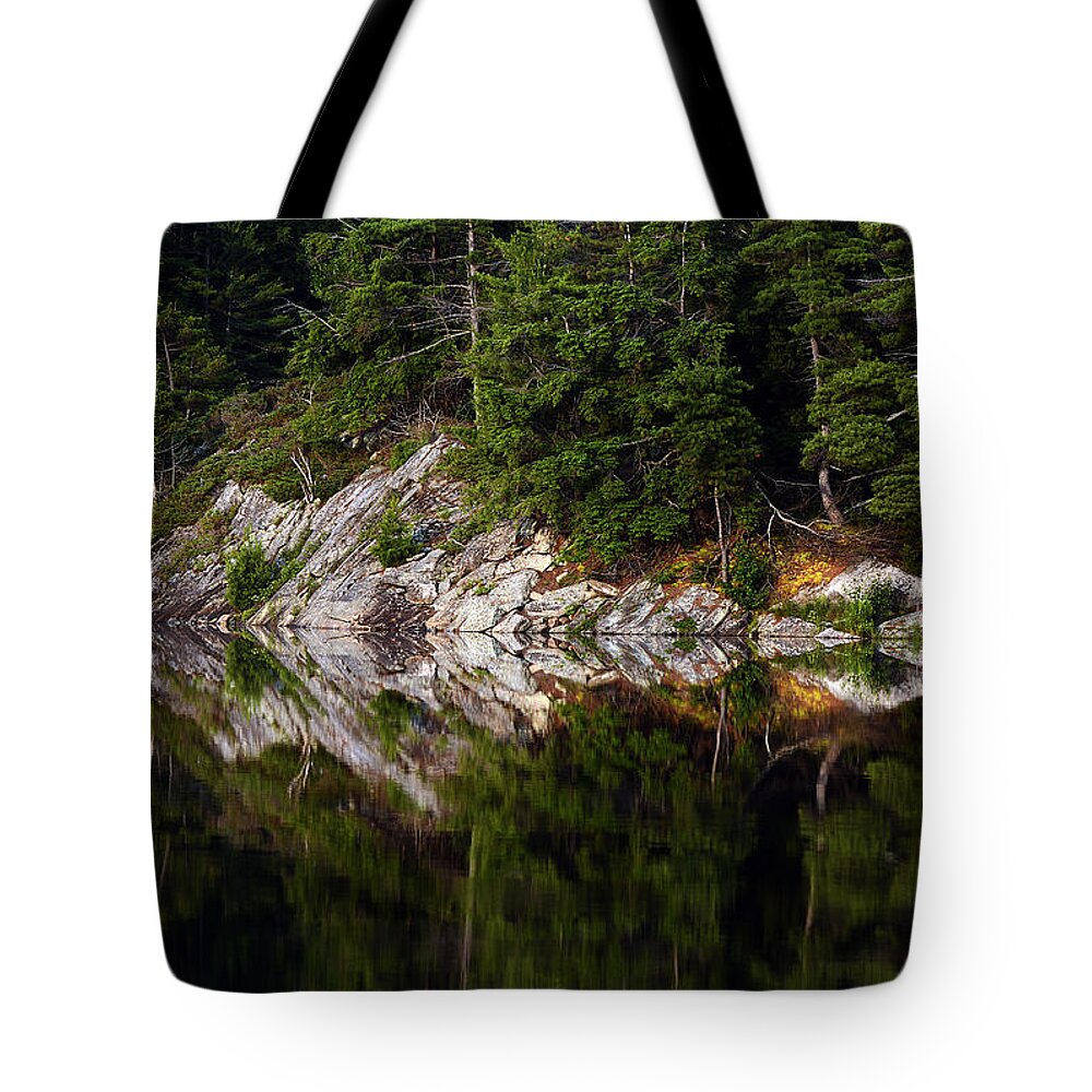 Massasauga Tote Bag featuring the photograph Massasauga Park Reflection by Steve Somerville
