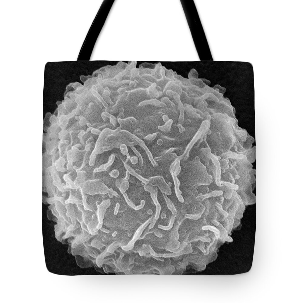 Biology Tote Bag featuring the photograph Mast Cell SEM by Don Fawcett and E Shelton and Photo Researchers