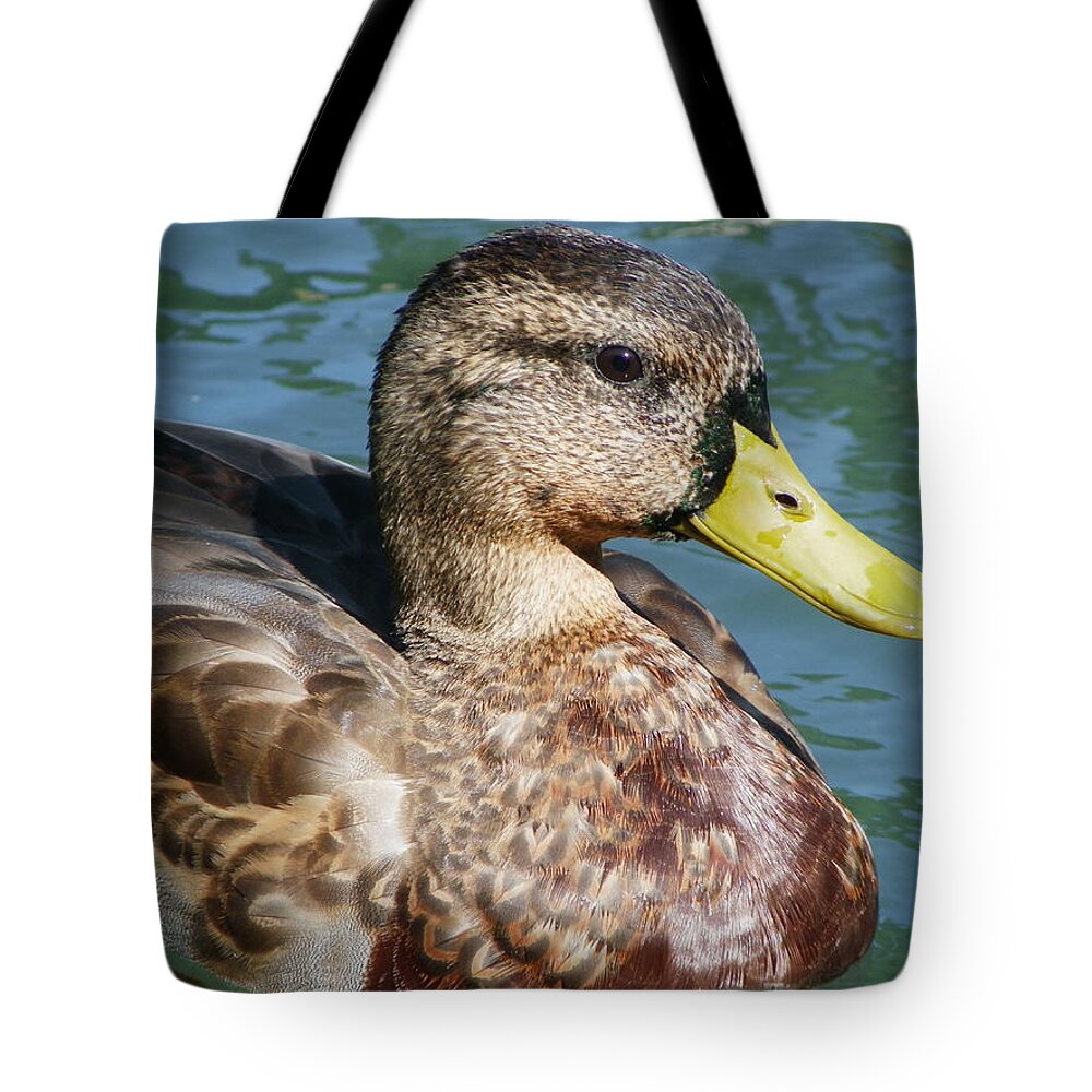 Birds Tote Bag featuring the photograph Master Mallard by Peggy King