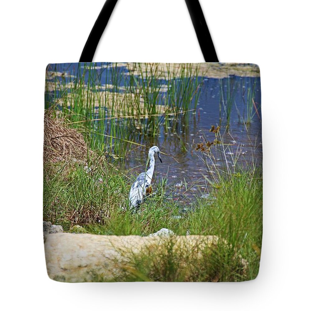 Blue Heron Tote Bag featuring the photograph Master of His Sea by Michiale Schneider