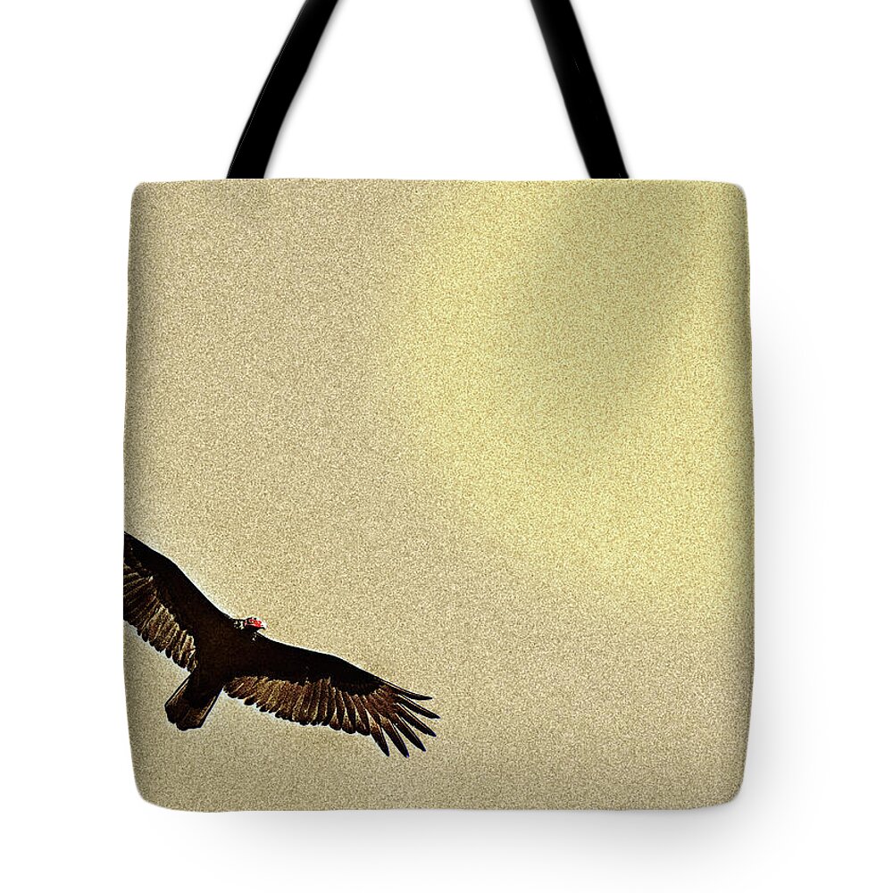 Bird Tote Bag featuring the photograph Master Of The Winds 2 by Mark Fuller