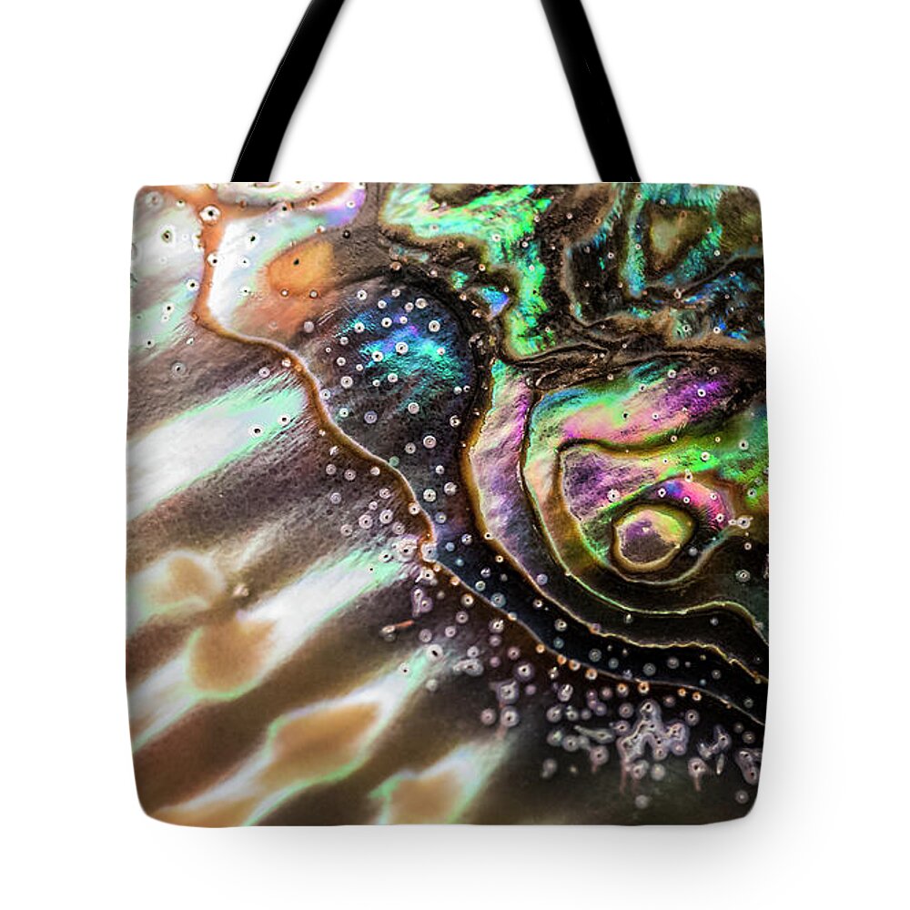 Seashell Tote Bag featuring the photograph Masterpiece by Nature by Joy Gerow