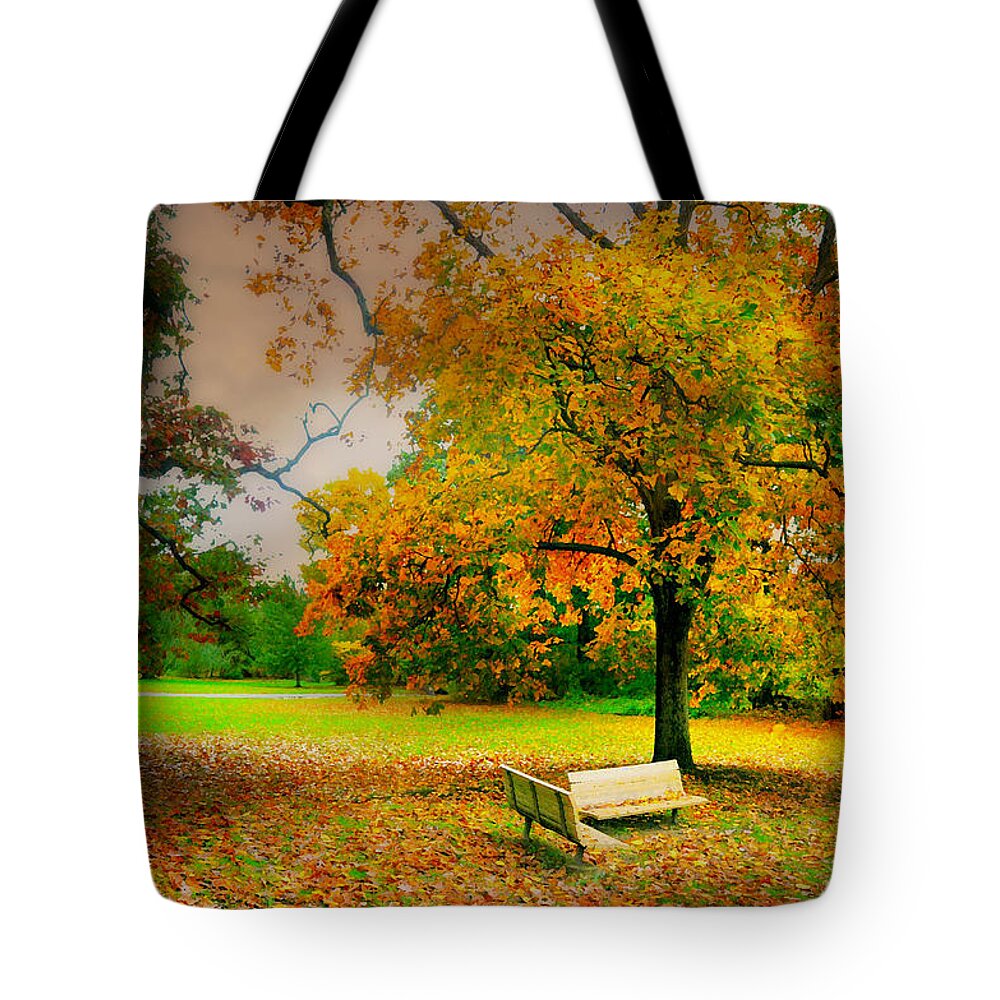 Matters To Me Tote Bag featuring the photograph Matters To Me by Diana Angstadt