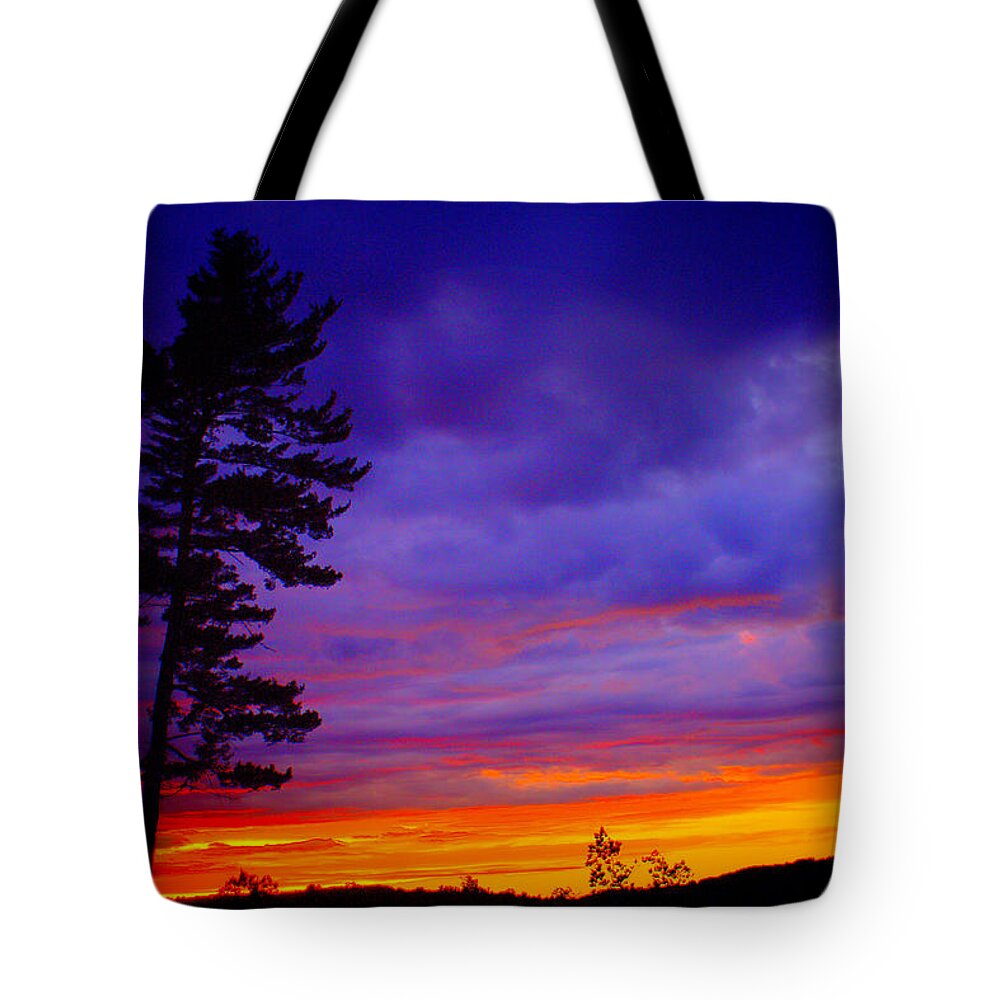 Maudslay Sunset Tote Bag featuring the photograph Maudslay Sunset 2 by Suzanne DeGeorge