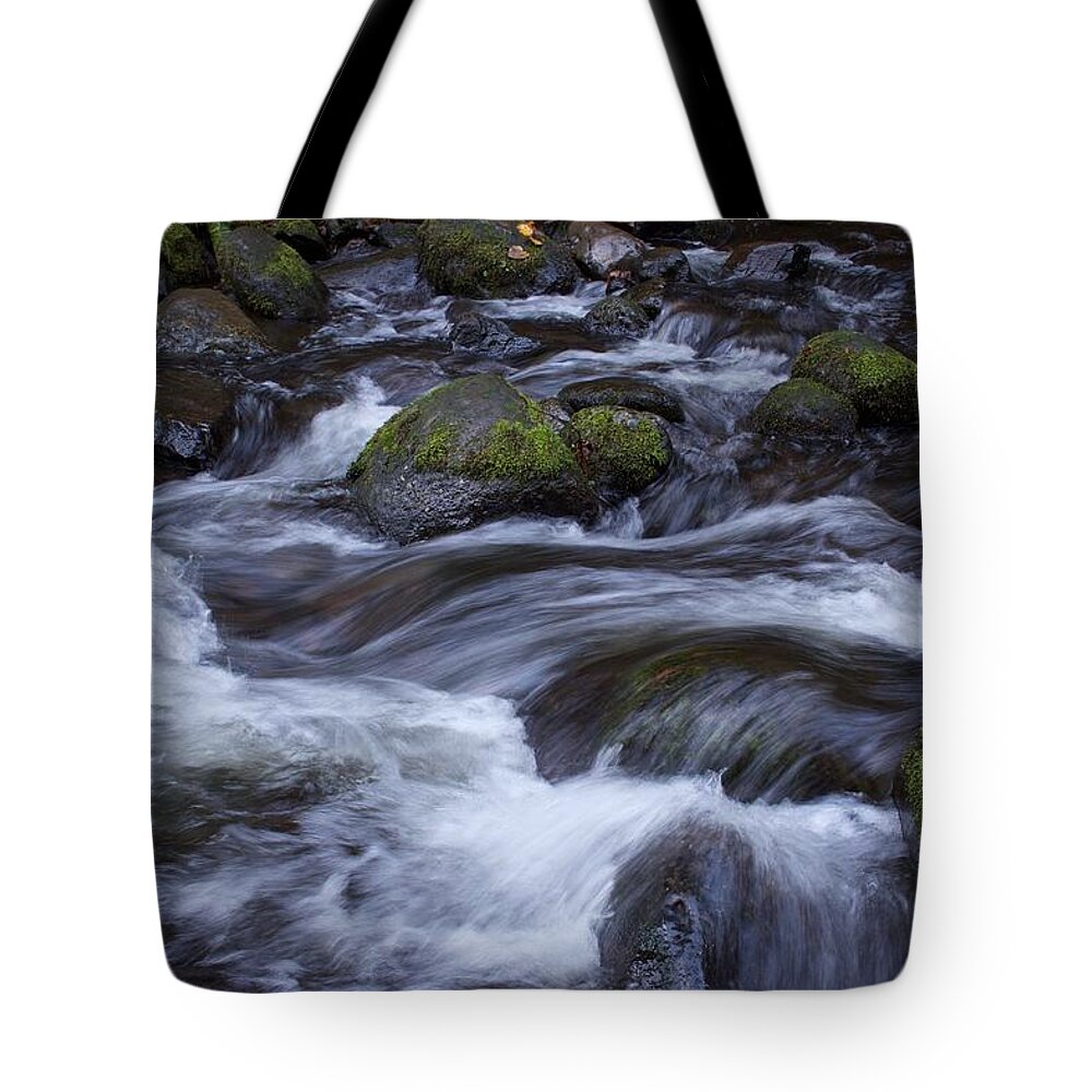Accord Motion Tote Bag featuring the photograph McCord Motion by Dylan Punke