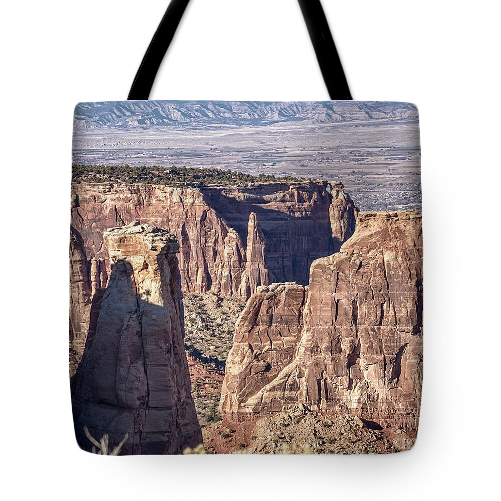 Canyon Tote Bag featuring the photograph McInnis Canyon 1 by Steven Parker