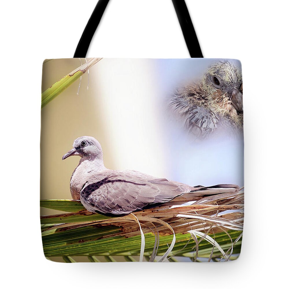 Dove Chicks Tote Bag featuring the photograph Me all grown up 01 by Kevin Chippindall