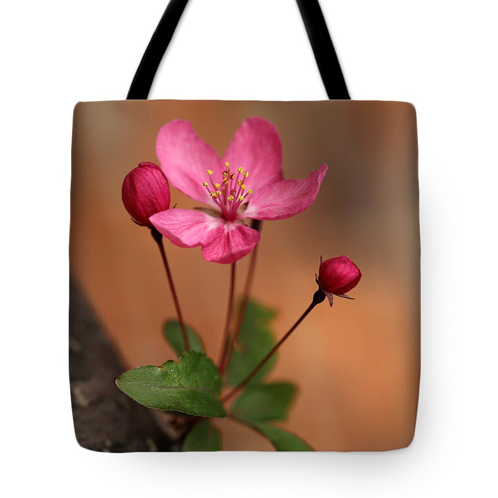 Crabapple Tote Bag featuring the photograph Me and my Buds 2 by Mary Bedy