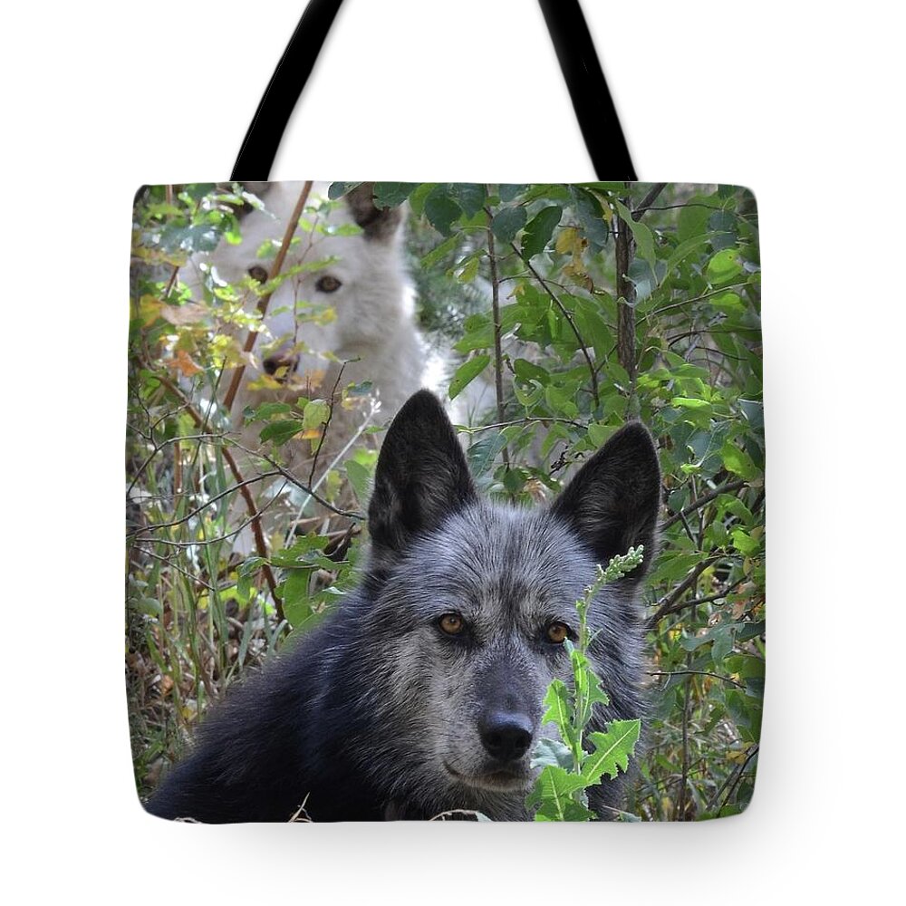 Wolves Wolf Dogs Animals Outdoors Friendship Teamwork Portrait Tote Bag featuring the photograph Me and My Shadow by Robert Buderman