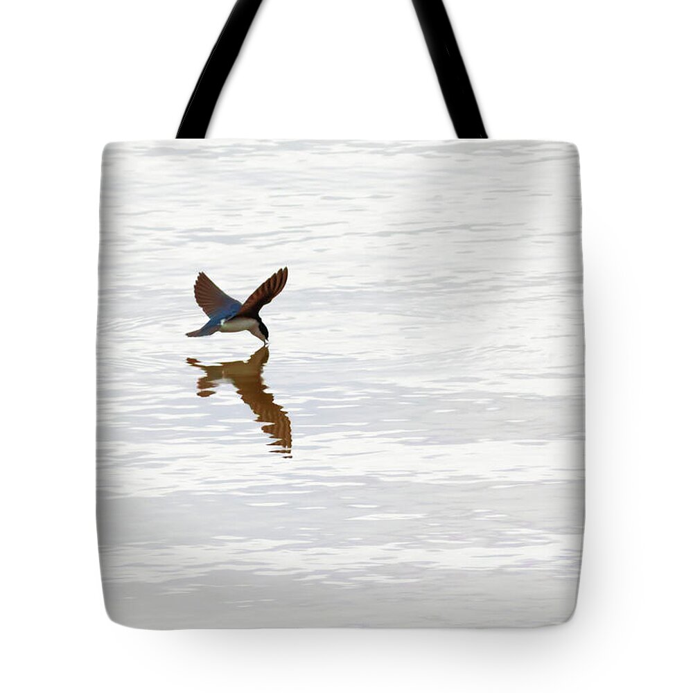 Tree Swallow Tote Bag featuring the photograph Me and My Shadow by Susan Rissi Tregoning