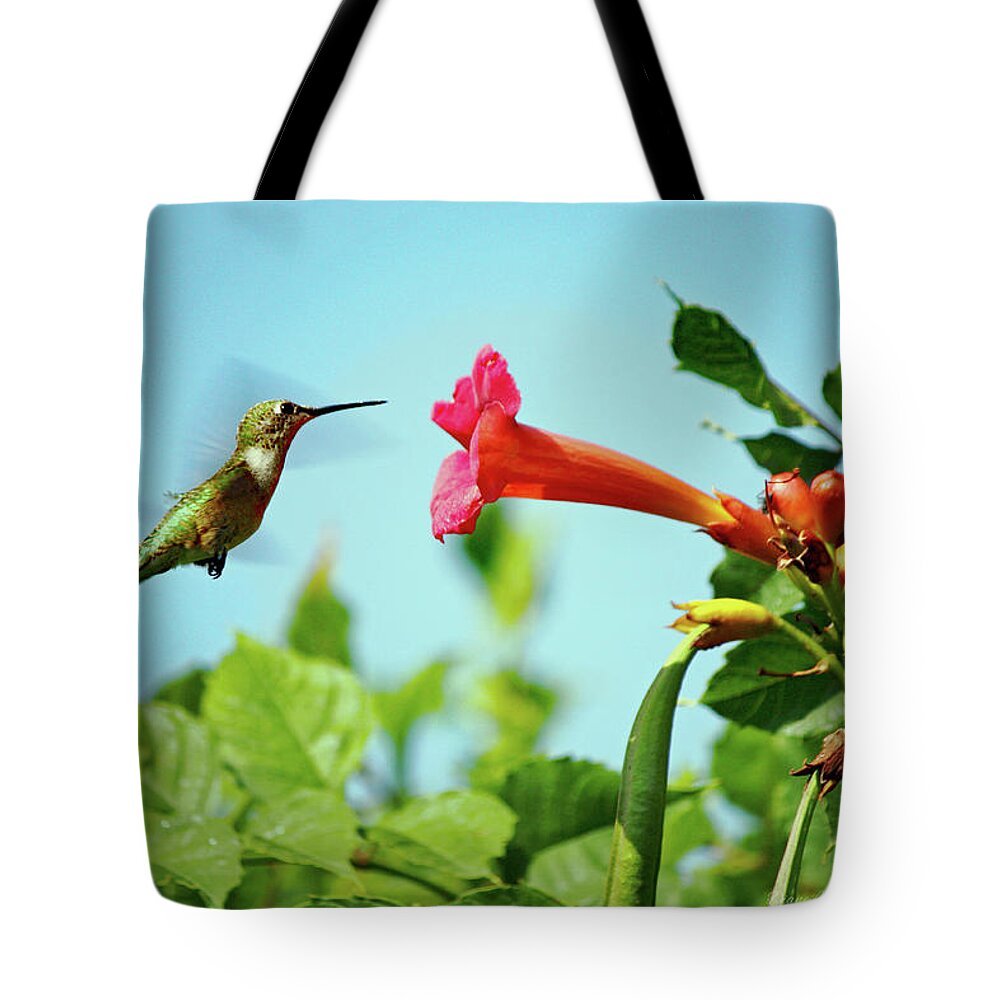 Hummingbird Tote Bag featuring the photograph Me and My Trumpet by Diane Lindon Coy