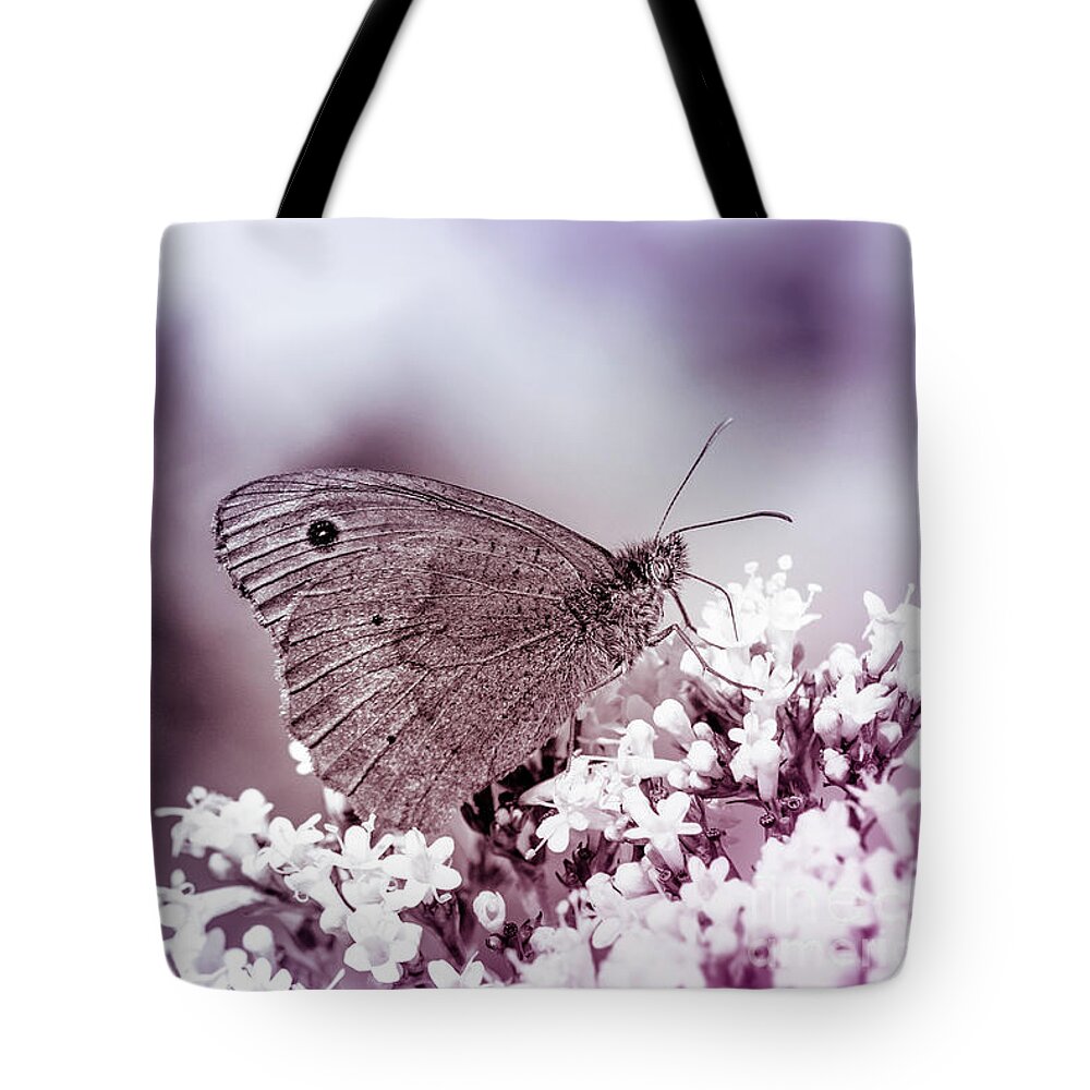 Plants Tote Bag featuring the photograph Meadow brown, Maniola jurtina by Amanda Mohler