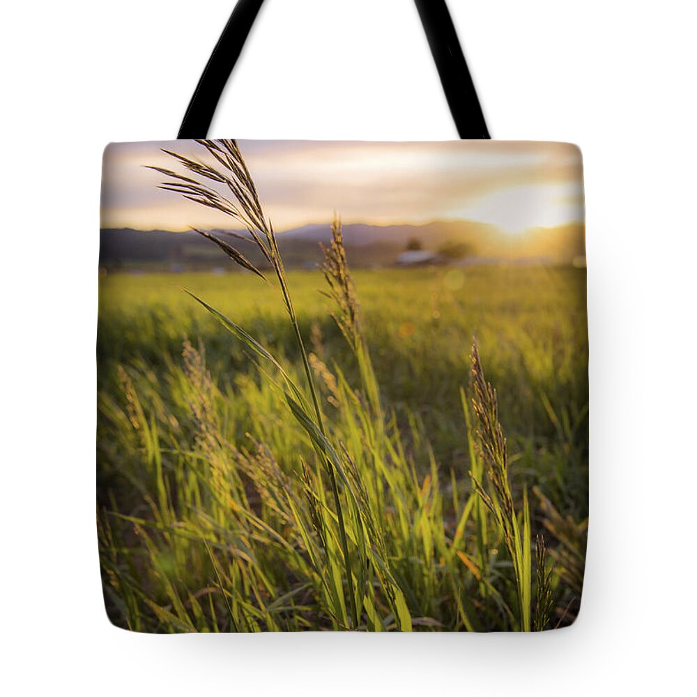 Meadow Light Tote Bag featuring the photograph Meadow Light by Chad Dutson