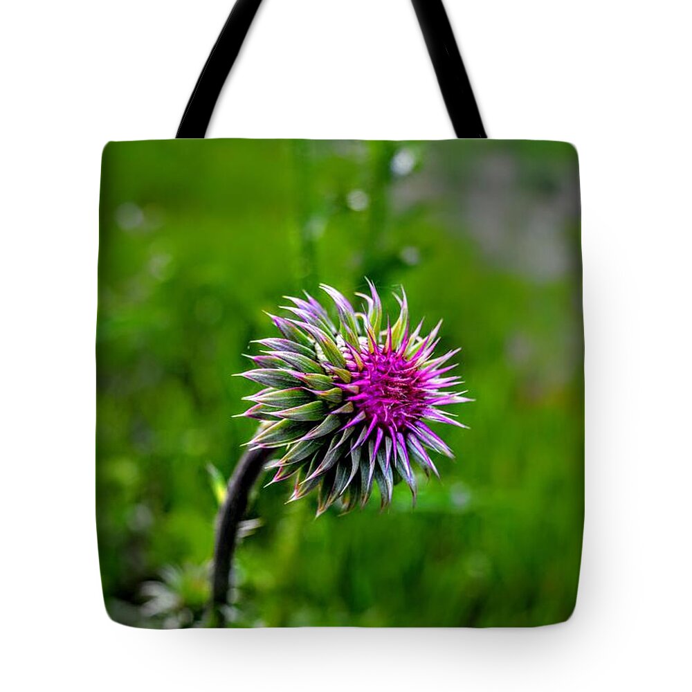 Thistle Tote Bag featuring the photograph Meadow Majesty by Michael Brungardt