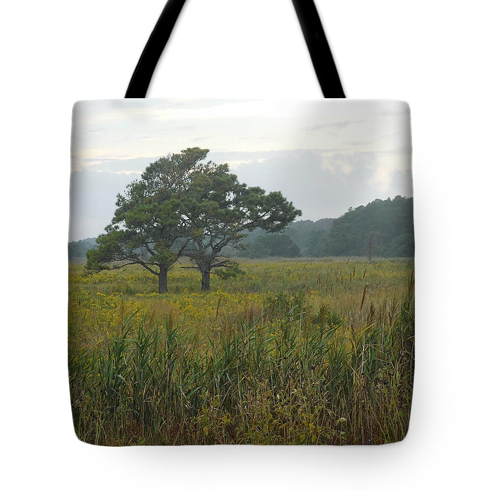 Wild Flowers Tote Bag featuring the photograph Meadow of Seaside Goldenrod by Captain Debbie Ritter