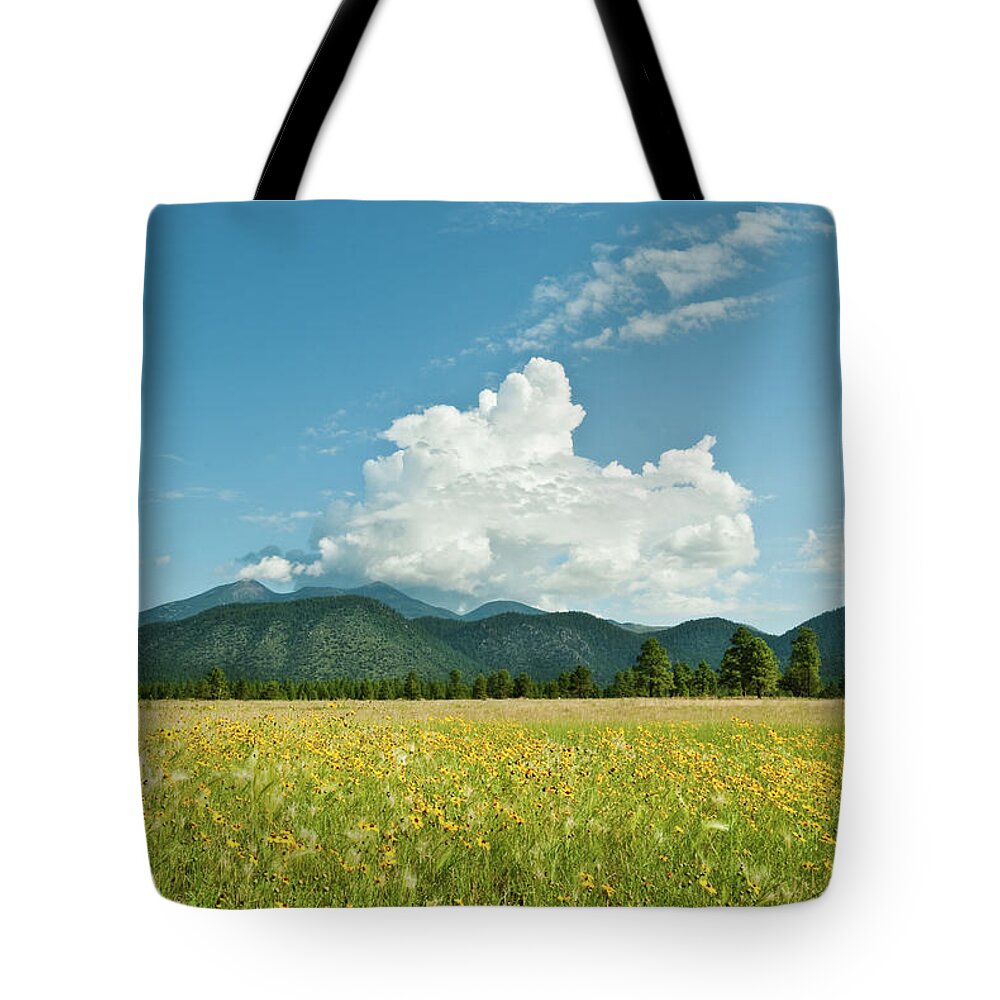 Arizona Tote Bag featuring the photograph Meadow of Sunflowers and the San Francisco Peaks by Jeff Goulden