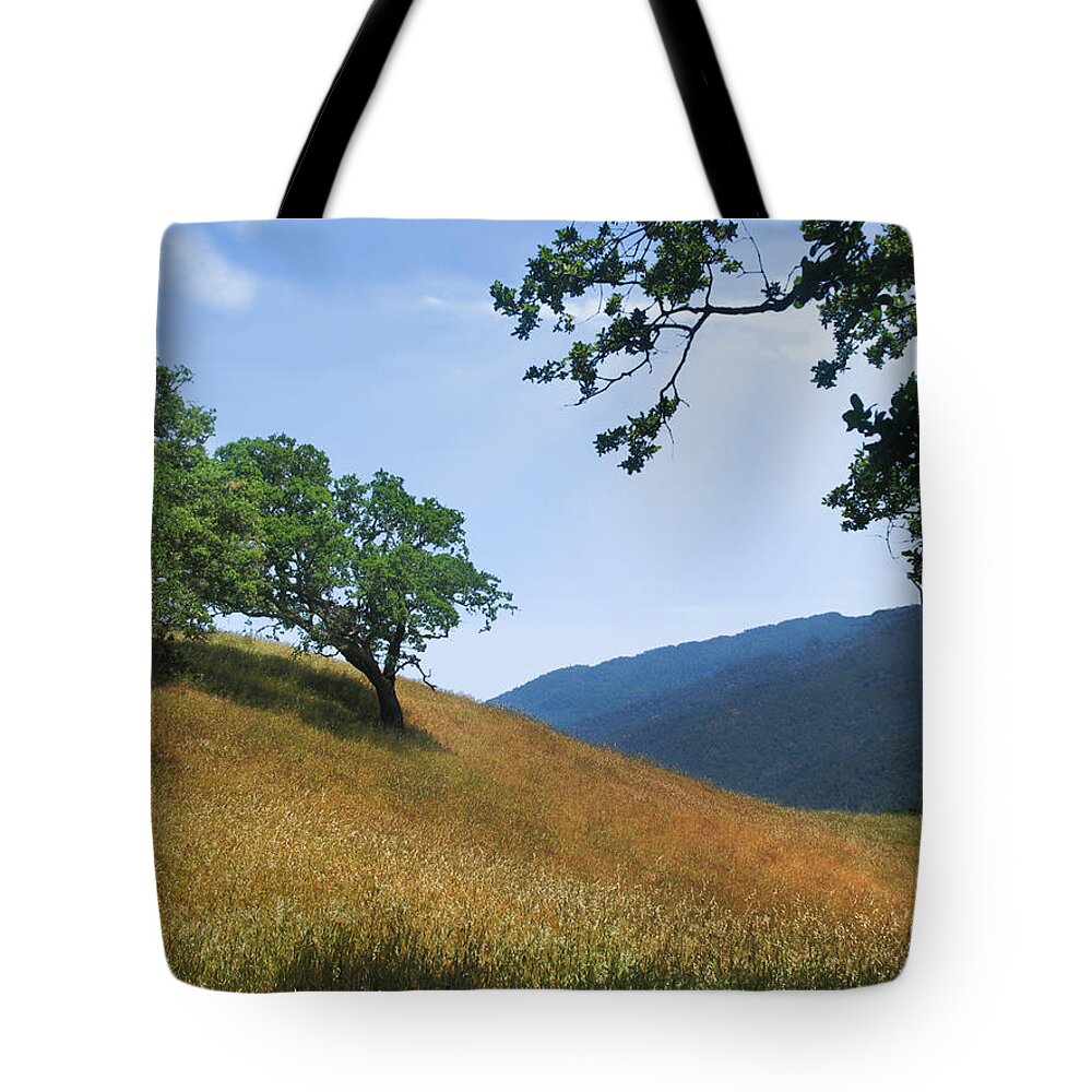 Landscape Tote Bag featuring the photograph Meadow View Summer by Karen W Meyer