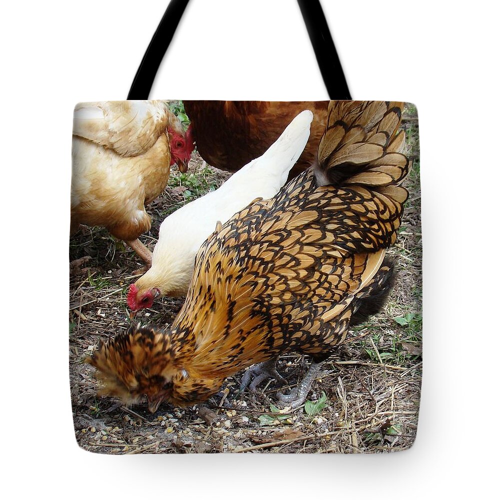 Chickens Tote Bag featuring the photograph Mealtime by Margaret Hamilton