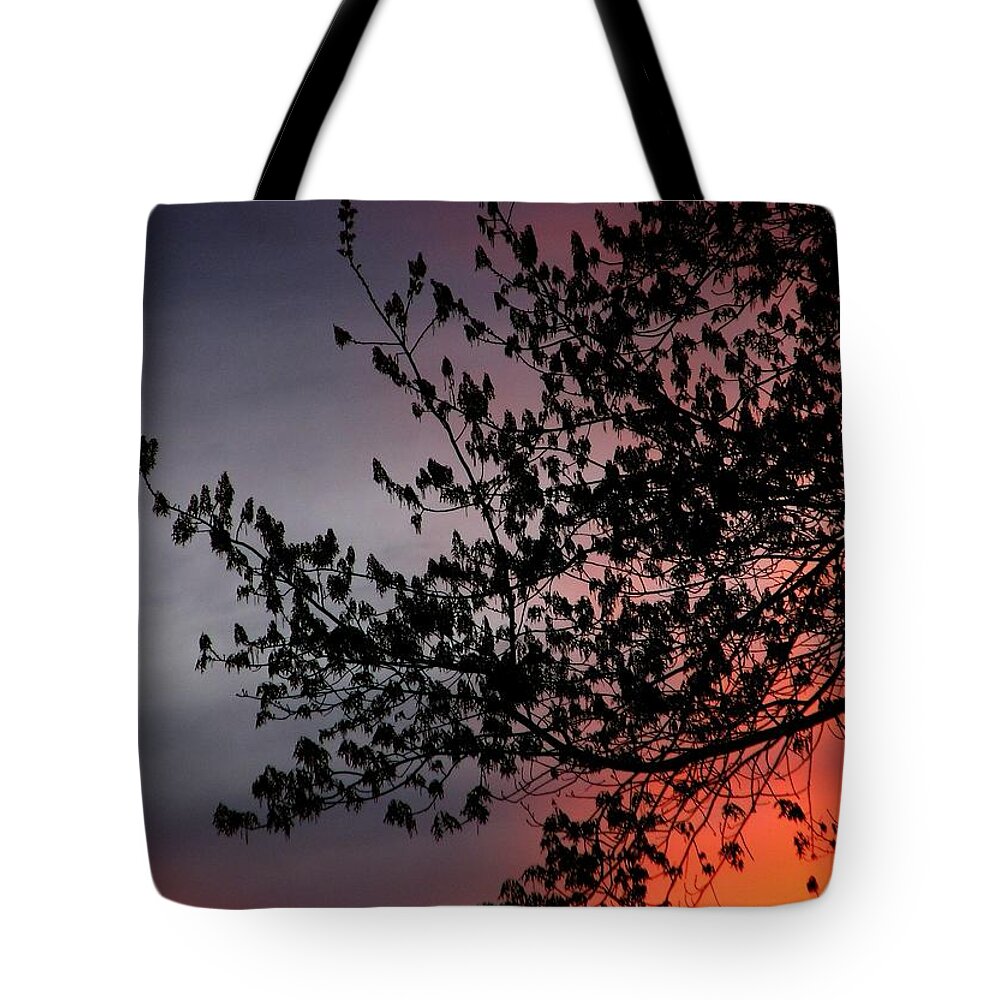 Tree Tote Bag featuring the photograph Medley by Chris Dunn