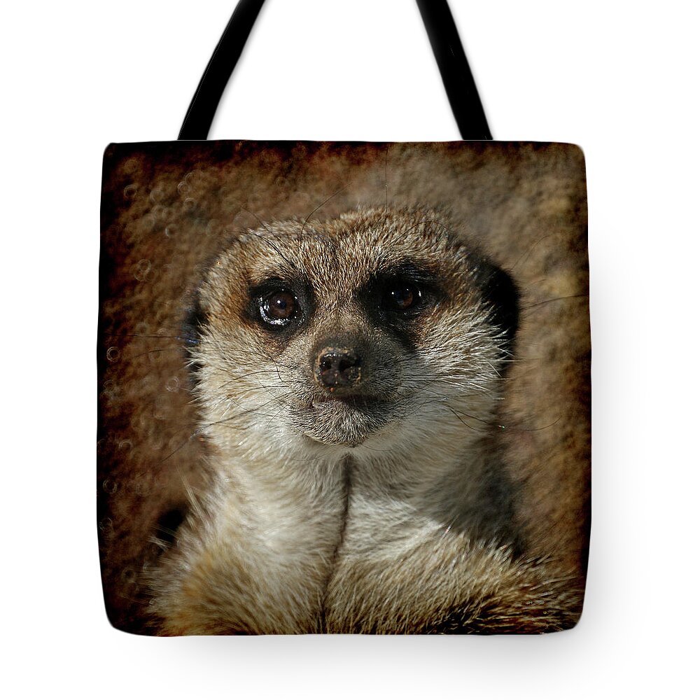 Meerkat Tote Bag featuring the photograph Meerkat 4 by Ernest Echols
