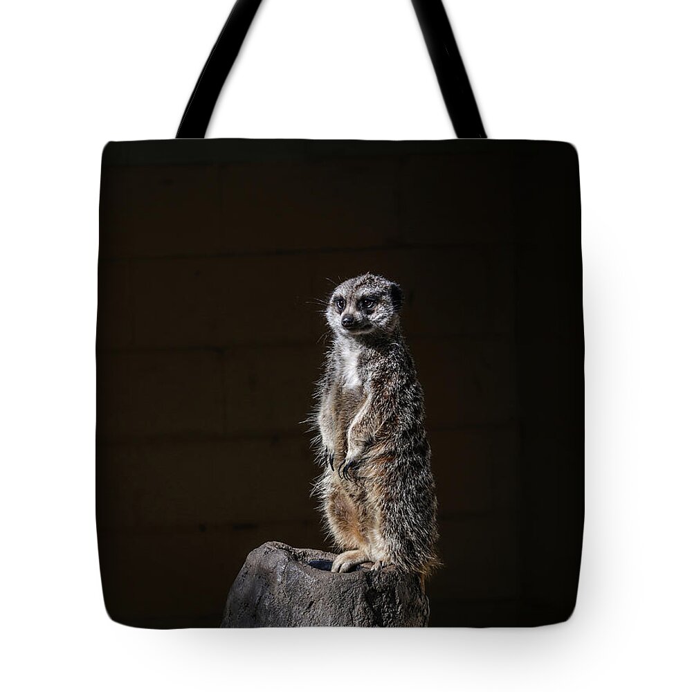Meerkat Tote Bag featuring the digital art Meerkat by Kathleen Illes