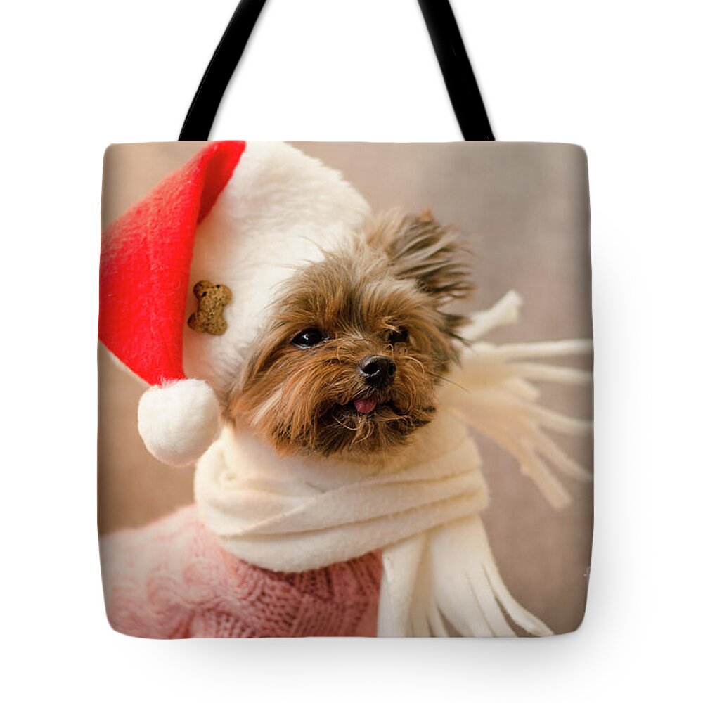 Yorkshere Terrier Tote Bag featuring the photograph Melanie in Christmas Hat by Irina ArchAngelSkaya