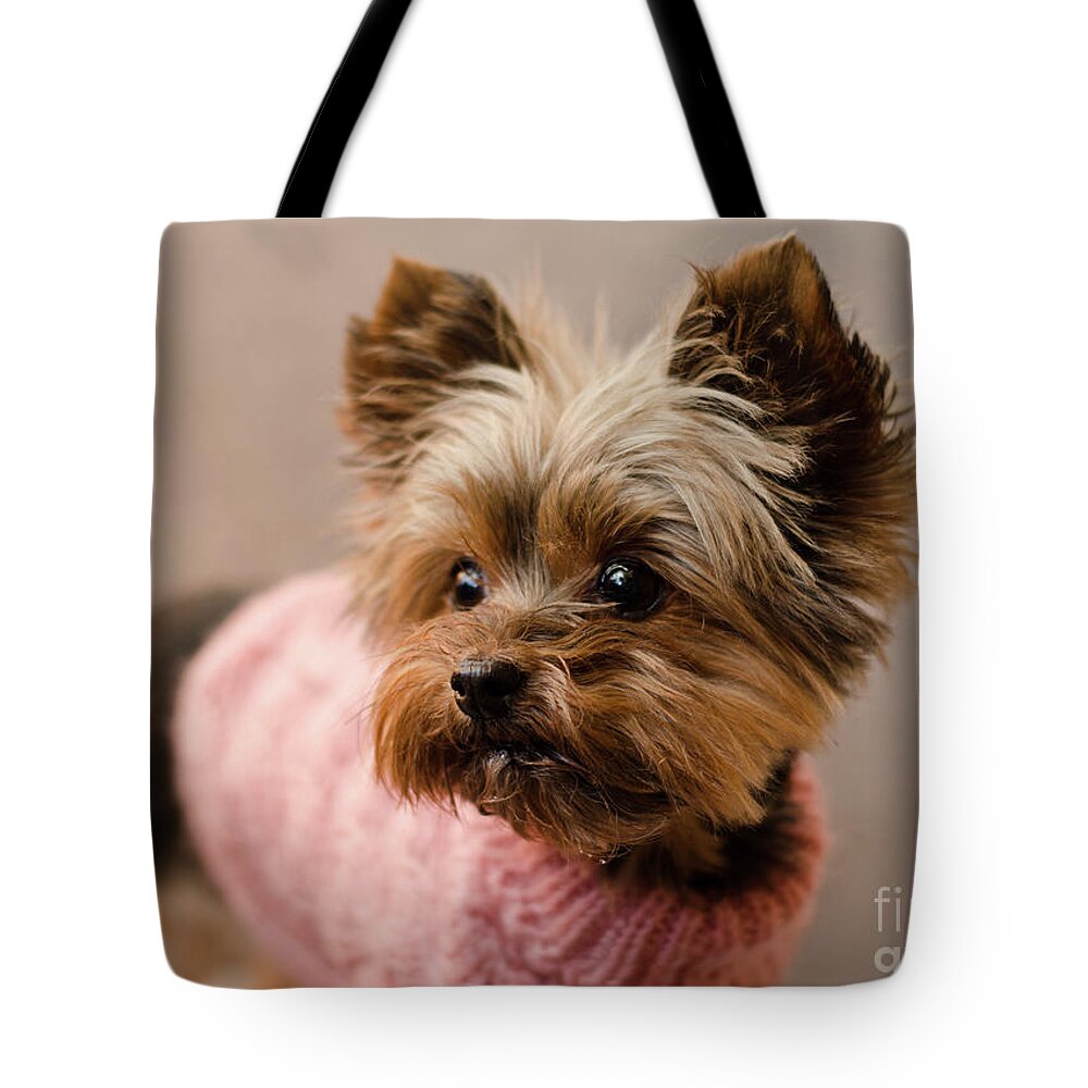 T-cup Yorkie Terrier Photograph Tote Bag featuring the photograph Melanie in Pink by Irina ArchAngelSkaya