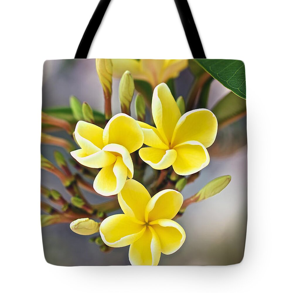 Flower Of The Day Tote Bag featuring the photograph Melemele by Jade Moon