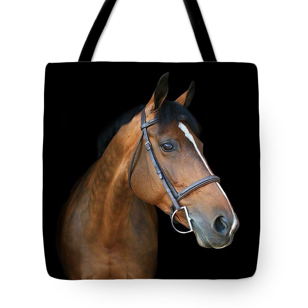  Tote Bag featuring the photograph Melissa-Millie7 by Life With Horses