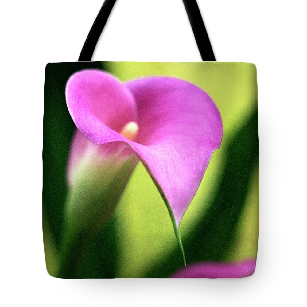 Jigsaw Tote Bag featuring the photograph Melody by Carole Gordon