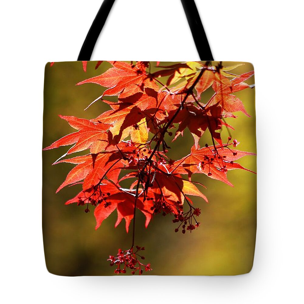 Autumn Tote Bag featuring the photograph Memories Of Autumn Past by Carol Montoya