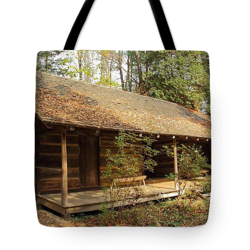 Cabin Tote Bag featuring the photograph Memories of Long Ago by Allen Nice-Webb