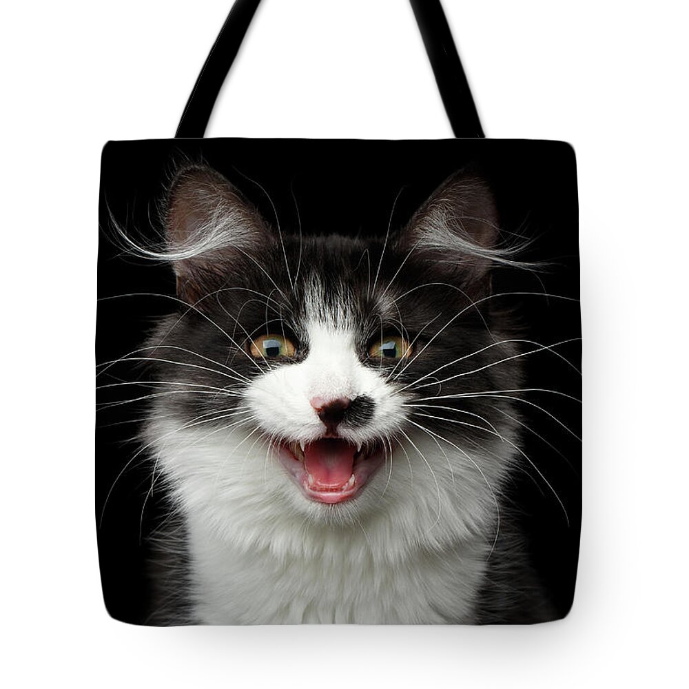 Cat Tote Bag featuring the photograph Meow of Siberian Kitten by Sergey Taran